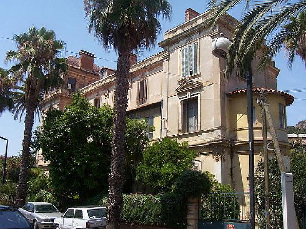 183 HYERES ET SES PALMIERS D14_000020.jpg